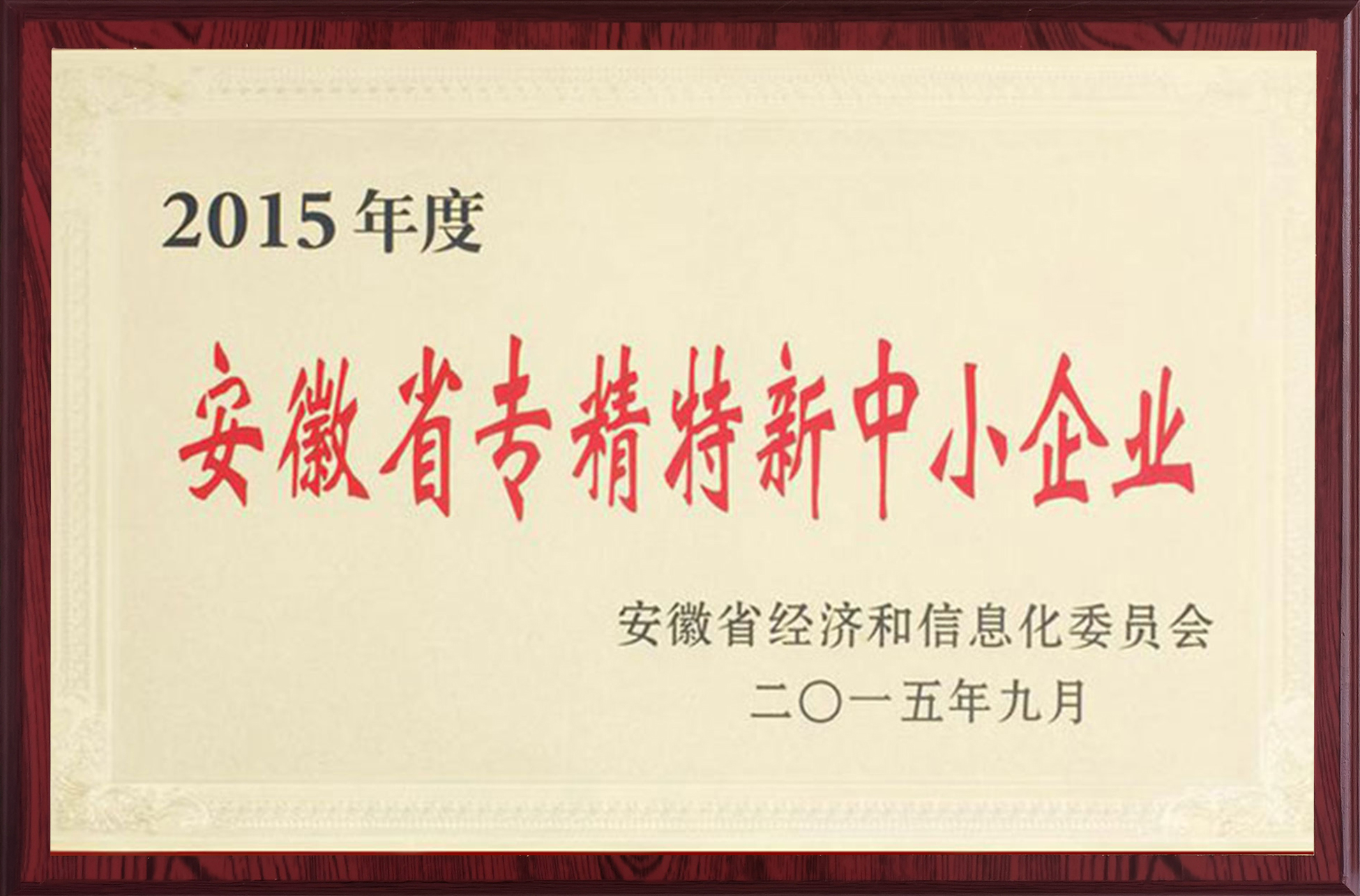 2015年专精特新